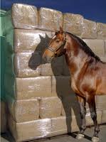 shavings